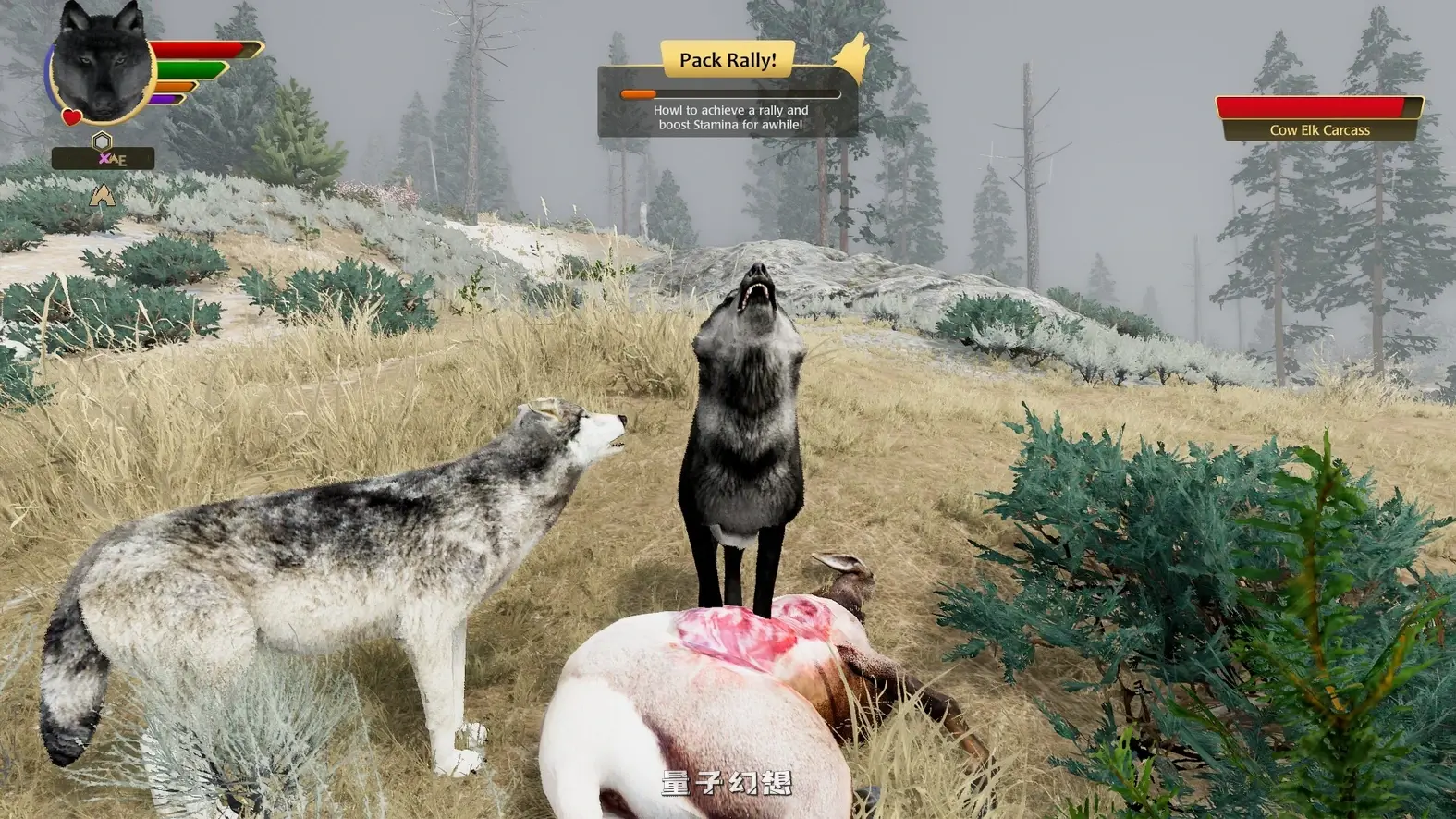 [生而为狼PC/精品模拟] 野狼谜踪 WolfQuest Ver2.0.2 英文版 [13G] 电脑游戏 第12张