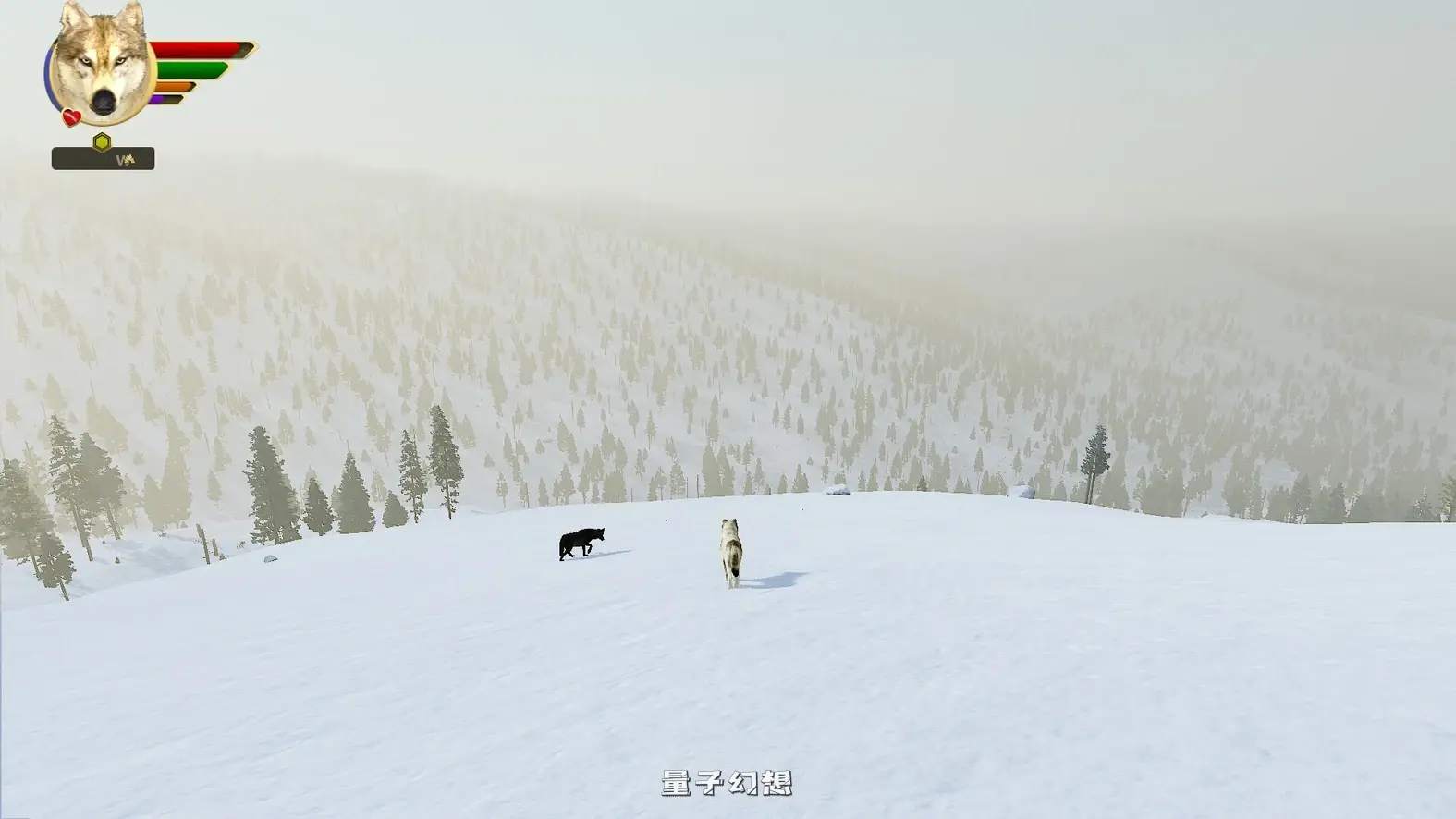 [生而为狼PC/精品模拟] 野狼谜踪 WolfQuest Ver2.0.2 英文版 [13G] 电脑游戏 第13张