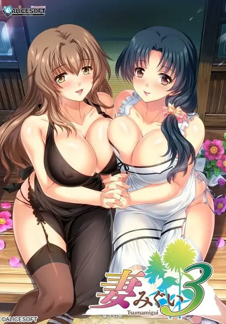 【神级大作】Alicesoft 妻中蜜３ 妻みぐい３ v0.801 润色汉化版+攻略+全CG存档 [2.25G] 电脑游戏 第2张