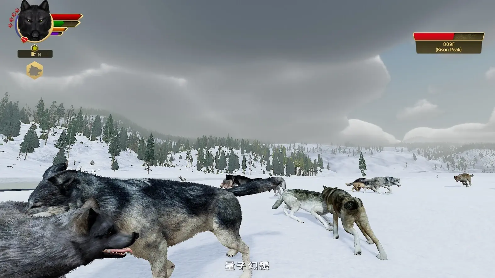 [生而为狼PC/精品模拟] 野狼谜踪 WolfQuest Ver2.0.2 英文版 [13G] 电脑游戏 第4张
