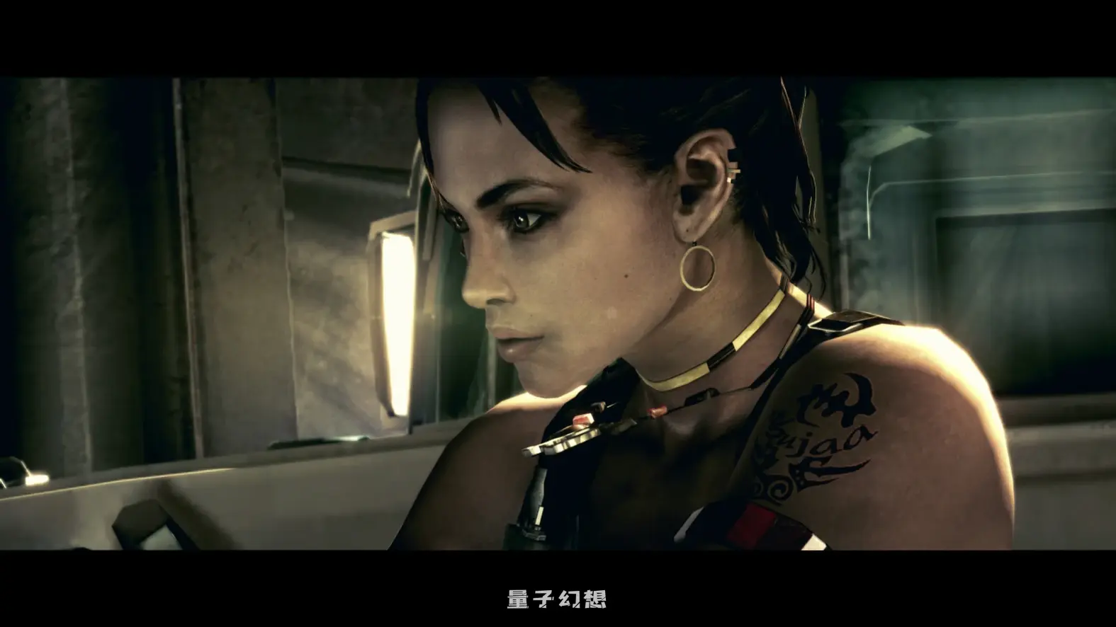 【发源地/生化危机】 生化危机5：黄金版 Resident Evil 5：Gold Edition Ver1.2.0 中文版 [8.5G] 电脑游戏 第7张
