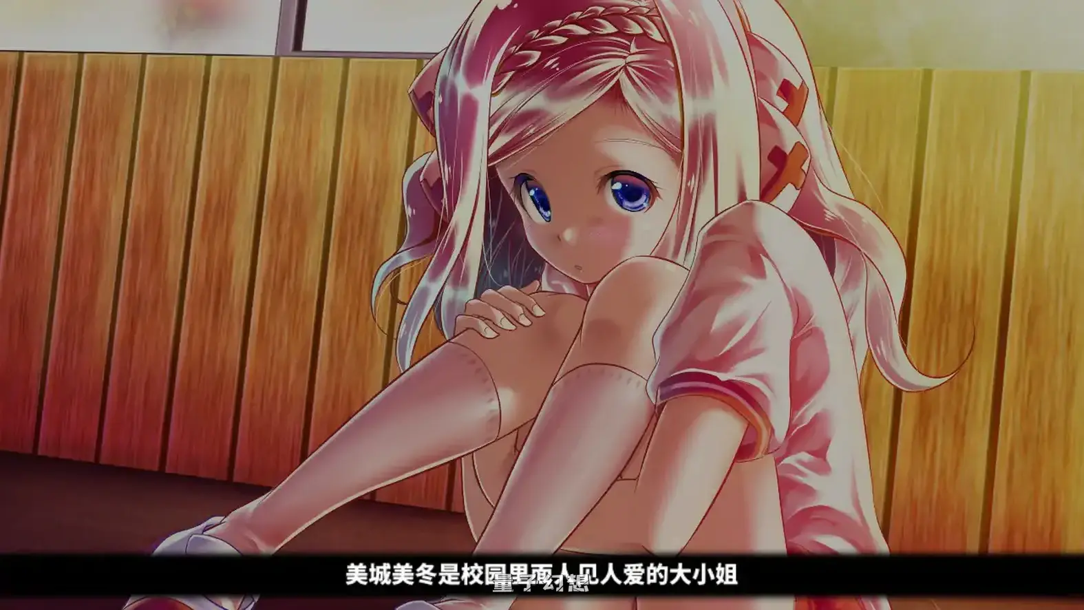 和大小姐的抚摸大会 官方中文版(日系SLG/2D/官中)235MB 电脑游戏 第2张